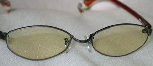 20110219.jpg