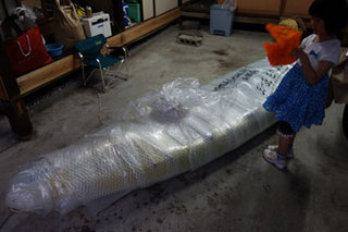 20140715カヤック02.jpg