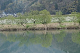 20150413新緑.jpg