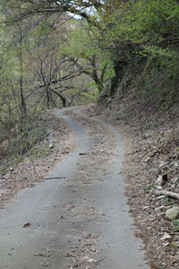 20160417蘇武岳03.jpg