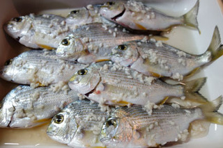 20161003釣り03.jpg