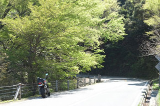 20170423道路反射.jpg